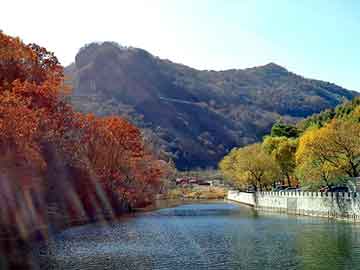 新澳天天开奖资料大全旅游团，新型花生收获机